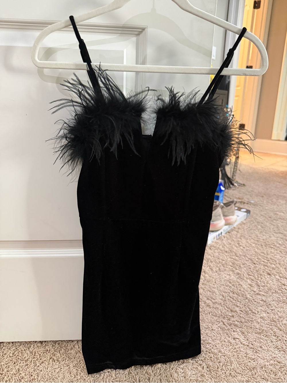 Blush Black Velvet Feather-Trim Mini Dress
